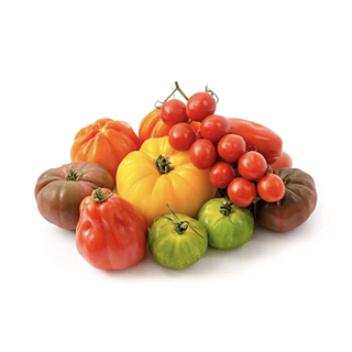Assortiments de Tomates 